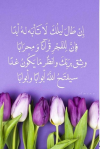1787673914030.png