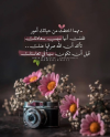 1788776044562.png