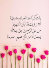 1789553113572.png
