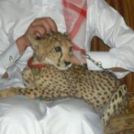 ¸بـعـض الـسـوالـف ™